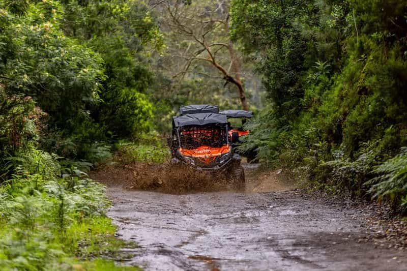 Billet Madère : AVENTURE EN BUGGY TOUT-TERRAIN AUX FUNDURAS