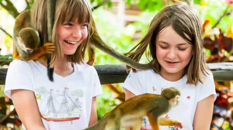 Billet Punta Cana : safari d'une demi-journée au Monkeyland et plantation