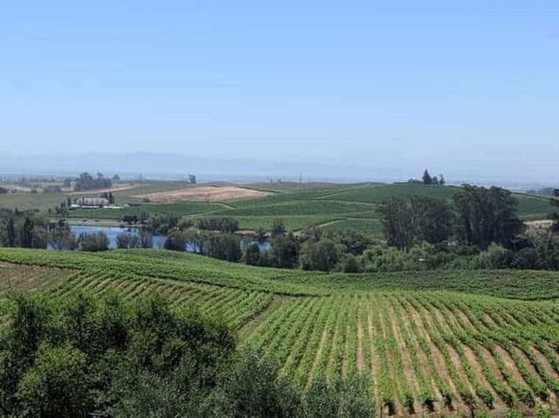 Billet San Francisco : Visite privée des vignobles de Napa et de la vallée de Sonoma