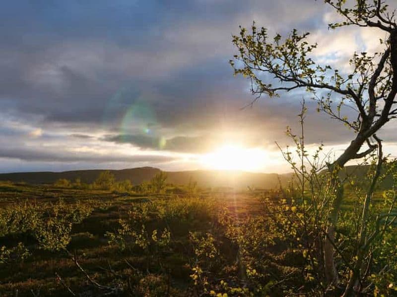 Billet Excursion en VTT électronique dans les forêts de la taïga à Ivalo