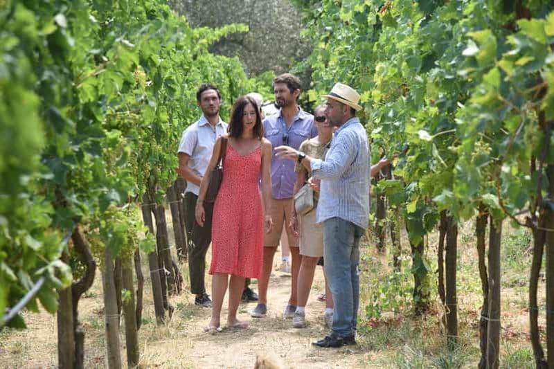 Billet Sorrente : Visite de la ferme avec dégustation de fromages et cours de fabrication de pizzas