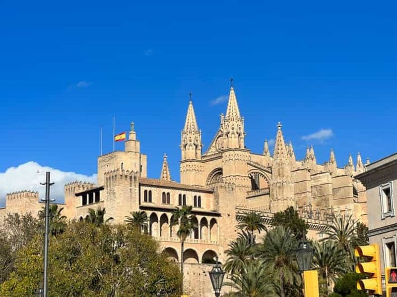 Billet Les points forts de la visite de Palmas en privé et en exclusivité