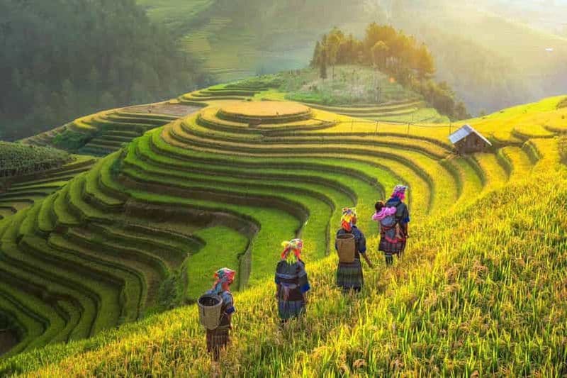 Billet Au départ de Hanoï : circuit de luxe de 2 jours avec trek à Sapa et hébergement chez l'habitant