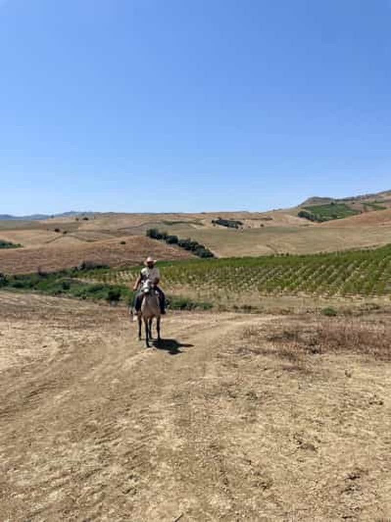 Billet Enna, Sicile : Promenade à cheval sur les sentiers de l'arrière-pays