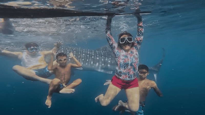 Billet Oslob : Requins-baleines, chutes de Tumalog et aventure Sumilon Trio