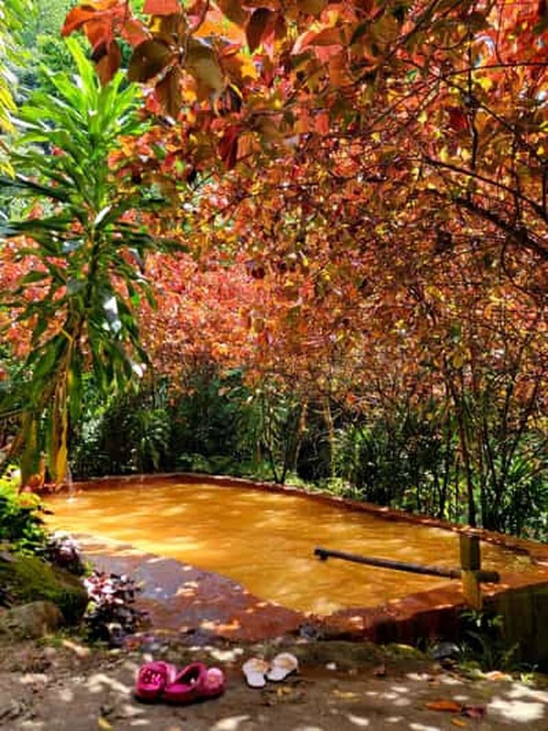 Billet Dominique : les chutes de Middleham, les gorges de Titou et les chutes de Trafalgar…