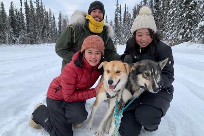 Billet Fairbanks : expérience de traîneau à chiens et de mushing