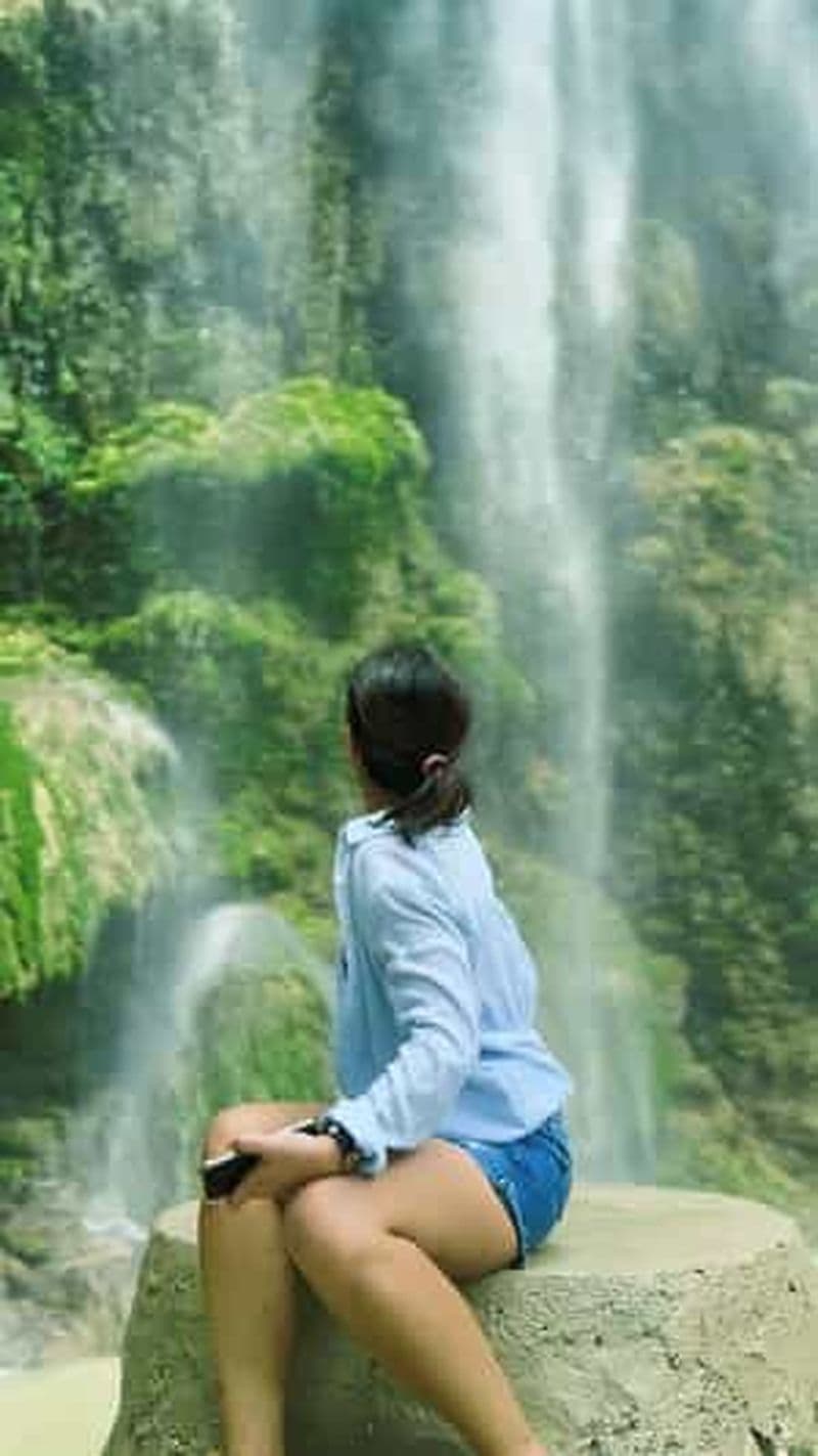 Billet Oslob : Observation des requins-baleines, chutes de Tumalog et île de Sumilon