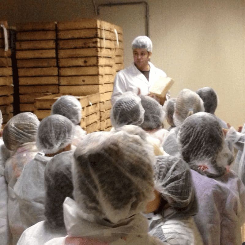 Billet Lac de Côme : Excursion laitière à Valsassina et excursion en E-bike