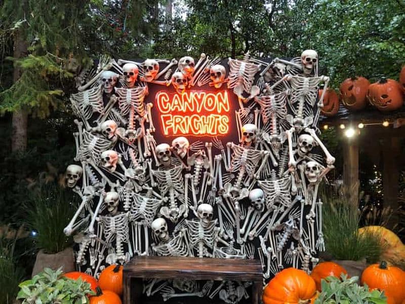 Billet CANYON LIGHTS + pont suspendu de Capilano/petit groupe/VOITURE