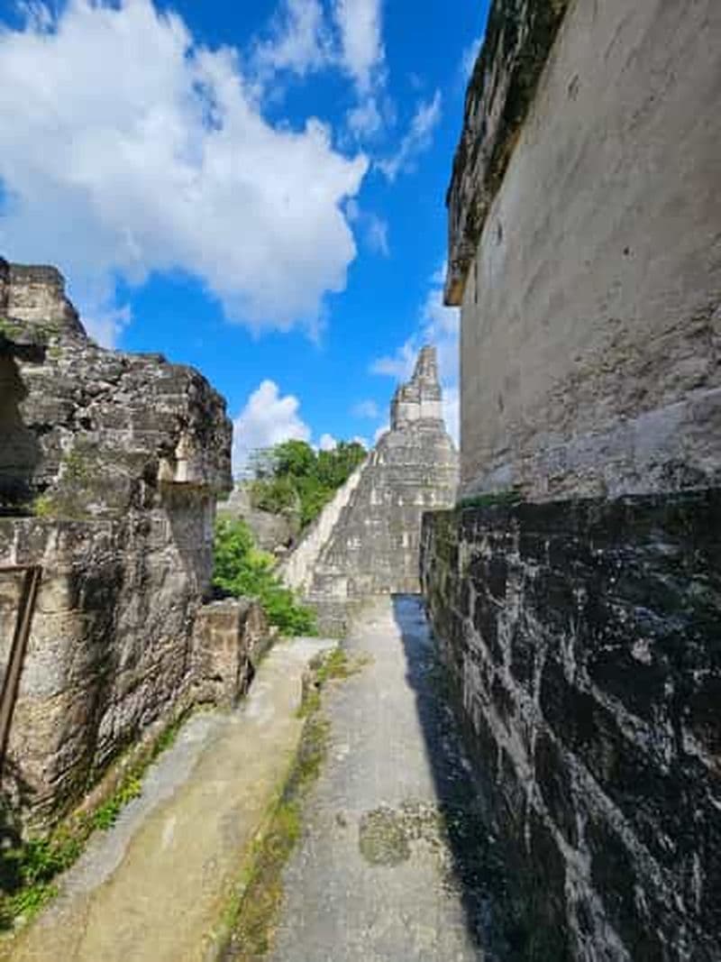 Billet Excursion en groupe à Tikal Transport, guide et déjeuner