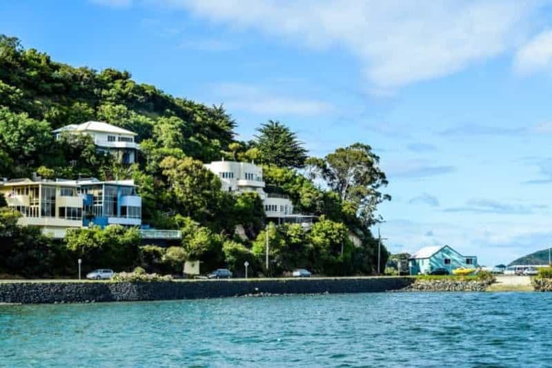 Billet Visite à pied du côté captivant de Dunedin pour les couples