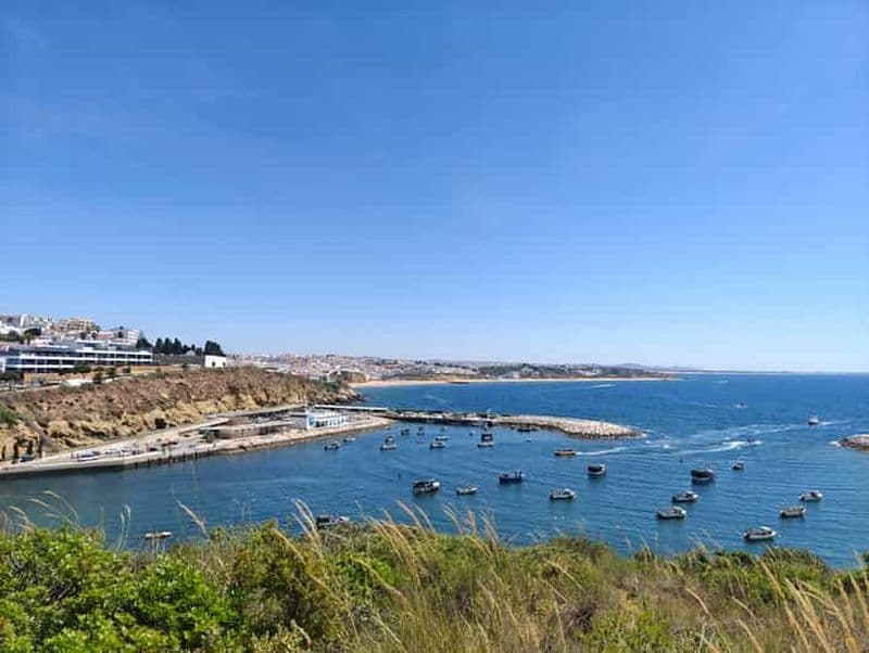 Billet Albufeira : Albufeira Marina & west coast Tour 1.5h