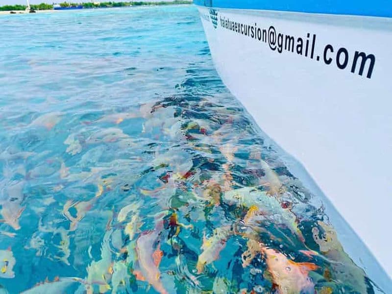 Billet Rangiroa : lagon bleu, Tiputa Pass, jardin de corail, île aux oiseaux