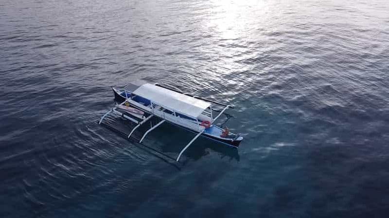 Billet Île de Siargao : excursion privée de luxe en bateau et surf