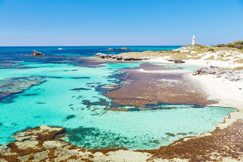 Billet Forfait Rottnest Grand Island avec ferry, visite et déjeuner léger