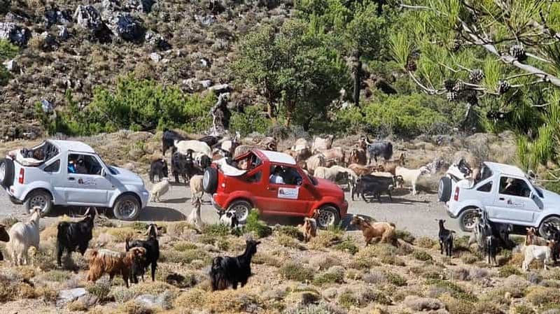 Billet Agios Nikolaos : Excursion en Jeep dans les Villages de la Montagne Thripti avec Déjeuner