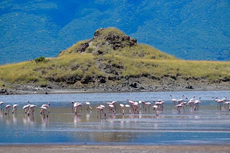 Billet Arusha : excursion au lac Natron (promenade au bord du lac et randonnée aux chutes)