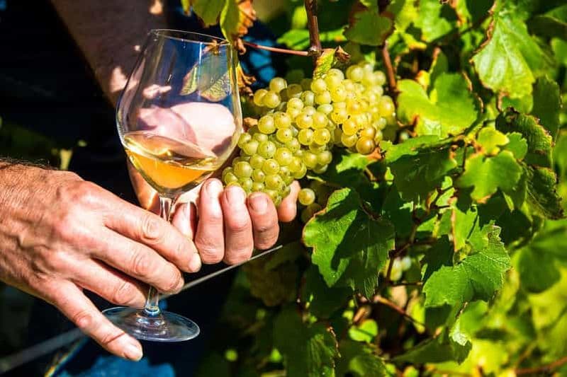 Billet Nice : Visite du village provençal avec dégustation de vins et de produits du terroir