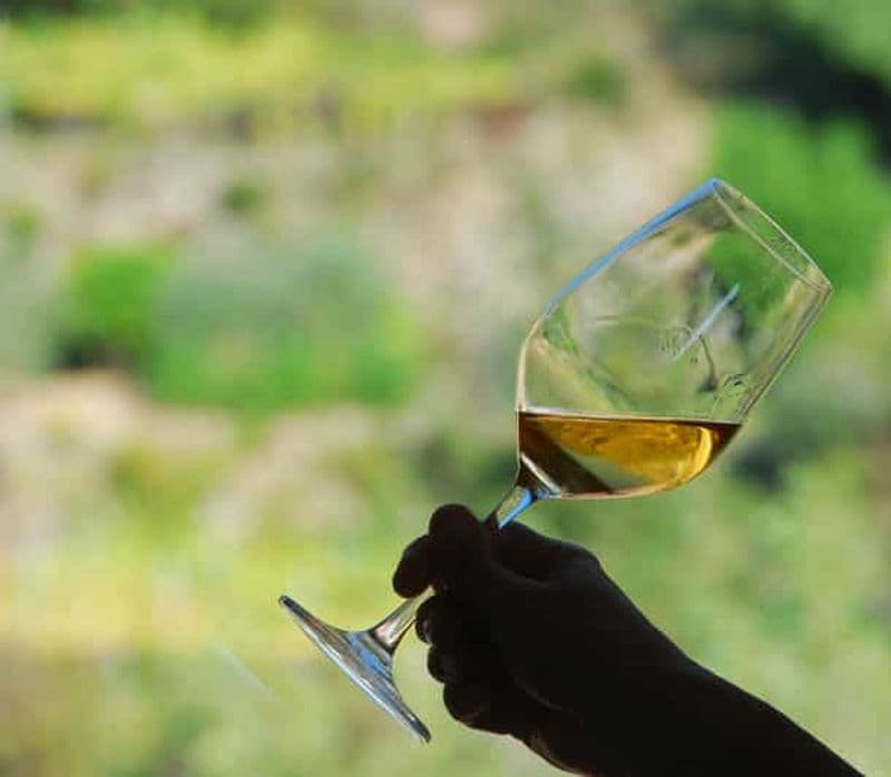 Billet Manarola : Dégustation de vins de Cinque Terre