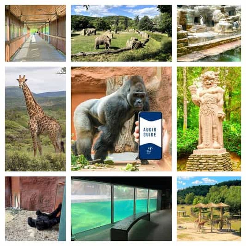 Billet Guide audio en ligne du zoo de Prague (sans billet)
