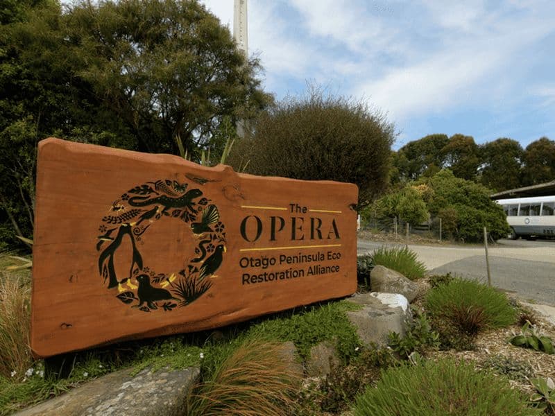 Billet Dunedin : Visite de la faune et des pingouins