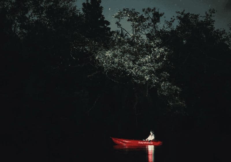Billet Bohol : excursion écologique en kayak sur la rivière Abatan à la découverte des lucioles