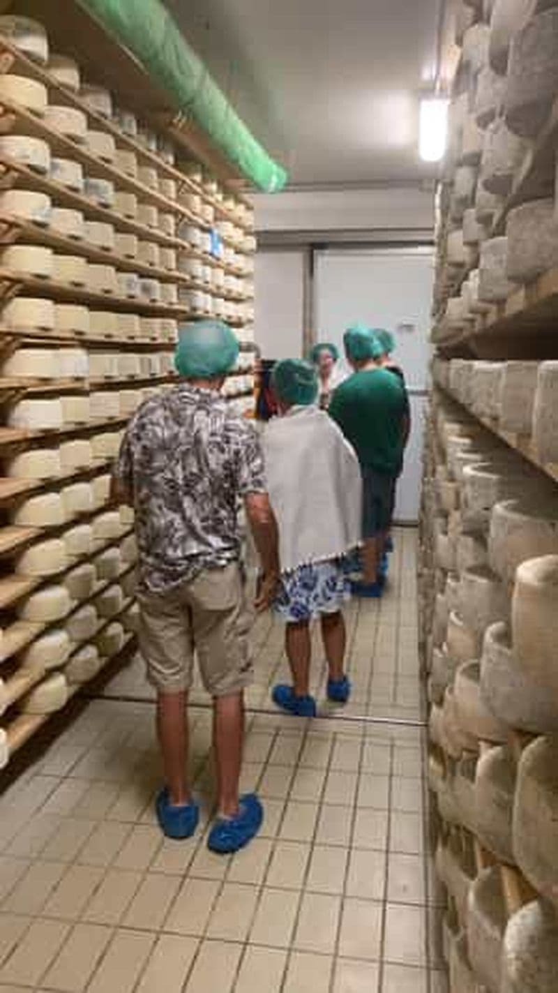 Billet Visite privée d'une jounée des fromages et des gins dans les collines de Prosecco