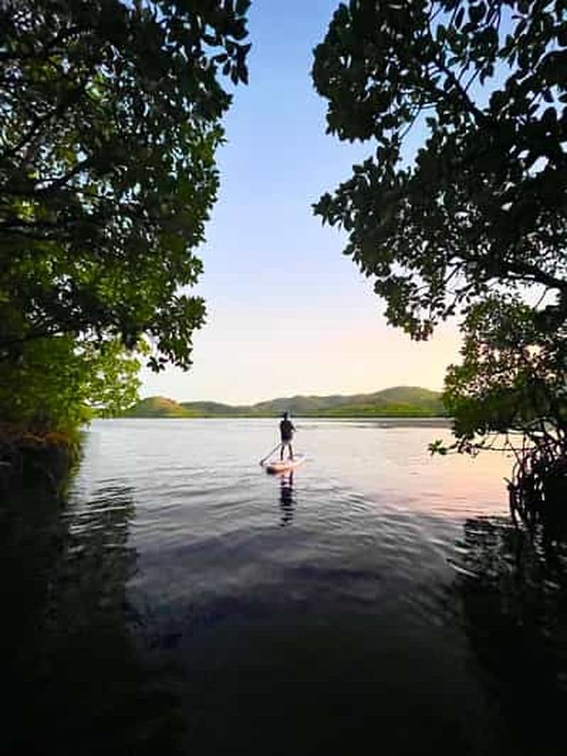 Billet Coron Blue Tears Clear Kayaking & Sunset SUP of Mangroves (en anglais)