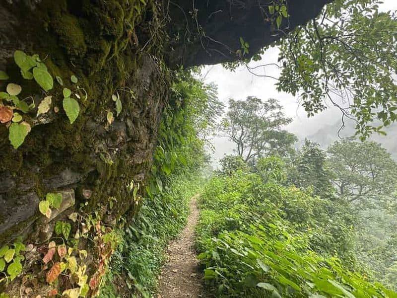 Billet Randonnée au lever du soleil à Rishikesh