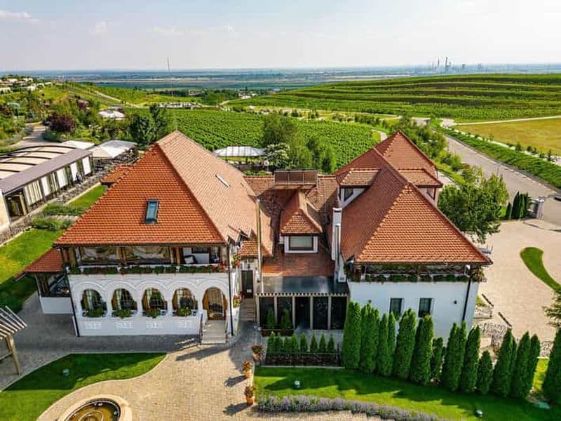 Billet Visite de vignobles et dégustation privée - visite privée d'une journée