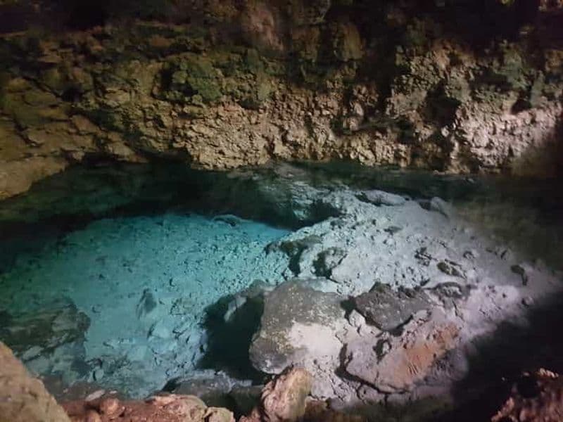 Billet Dauphins +Forêt de Jozani+ Grotte de Kuza+Restaurant The Rock & Paje