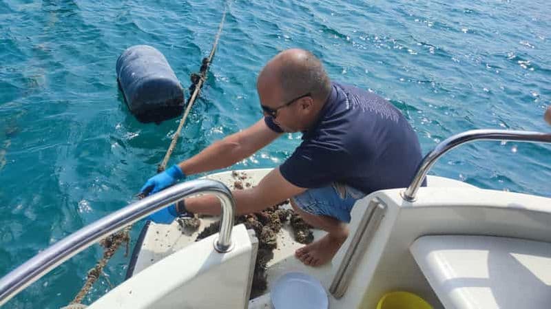 Billet Dubrovnik : Visite de dégustation d'huîtres, de moules et de vins à Ston