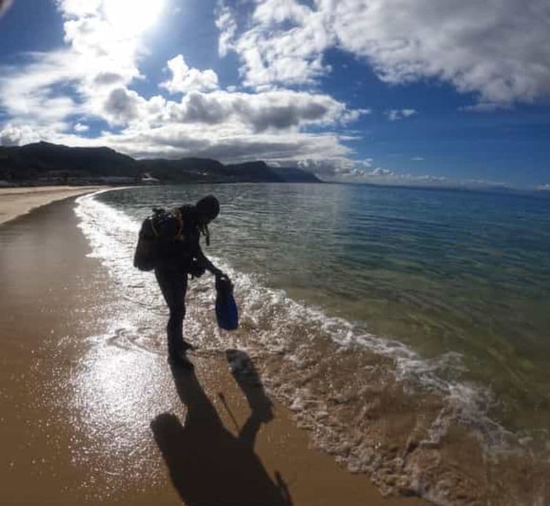 Billet Le Cap : expérience de plongée sous-marine pour les débutants