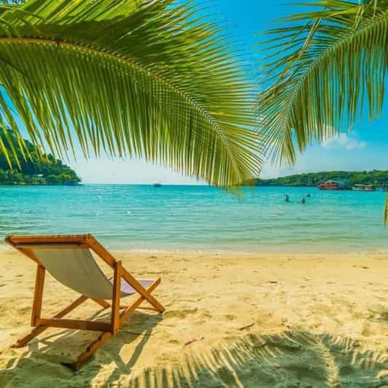 Billet Martinique : Dégustation de rhum et transfert à la plage des Salines