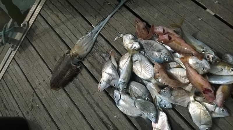 Billet Lagos : Voyage de pêche en famille