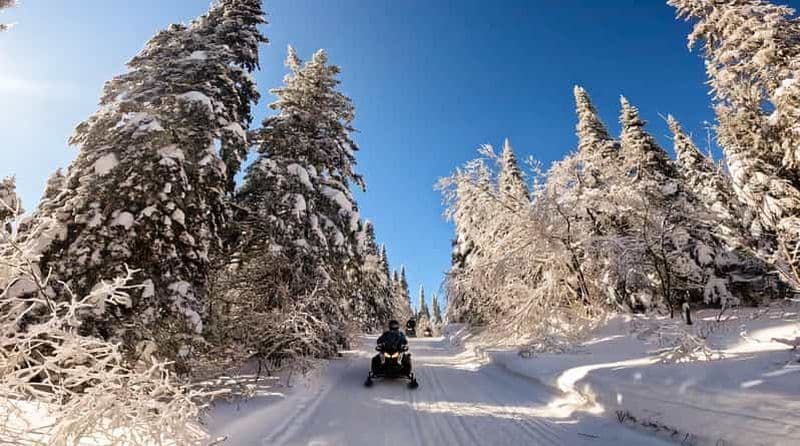 Billet Excursion en motoneige de 2 heures dans les Hautes-Laurentides, près de Mont-Tremblant