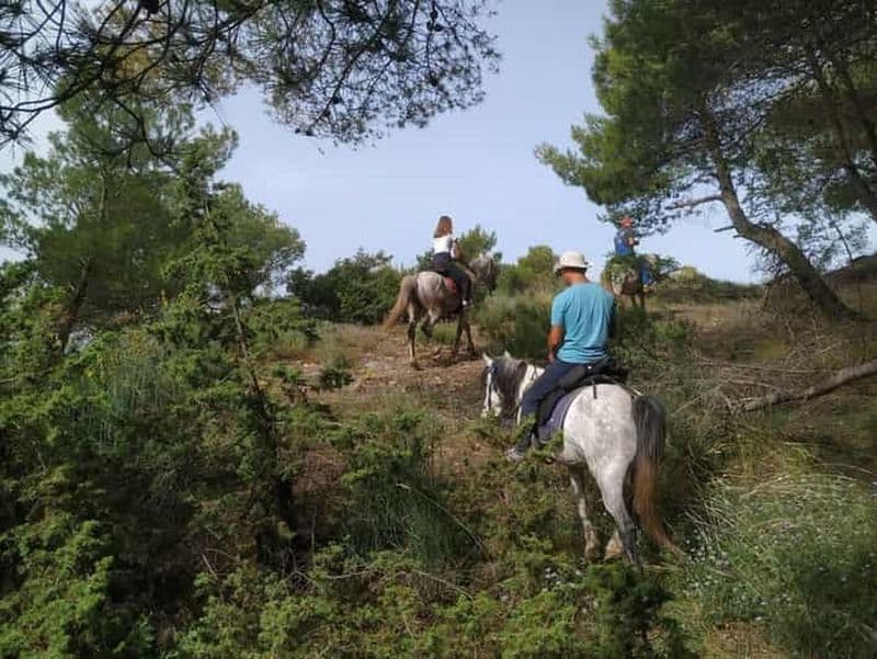 Billet Balade à cheval dans la campagne de Gjinofshat
