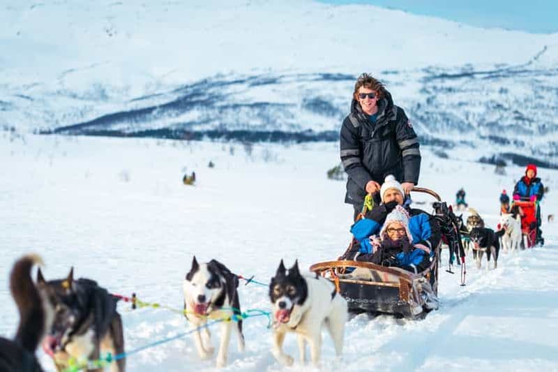 Billet Tromsø : balade en traîneau tiré par des huskys et déjeuner traditionnel