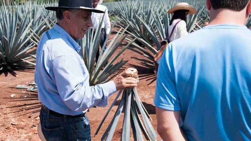 Billet Depuis Guadalajara : Pyramides et visite de la Tequila Jose Cuervo
