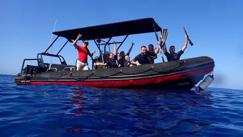 Billet Réunion : Snorkeling avec les dauphins et baleines à Saint-Gilles-les-Bains