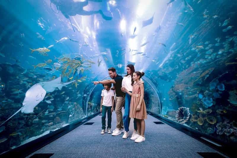 Billet Dubaï : Aquarium et zoo sous-marin