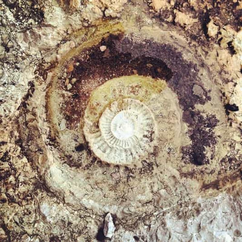 Billet Route jurassique dans le Torcal avec transport inclus depuis Antequera