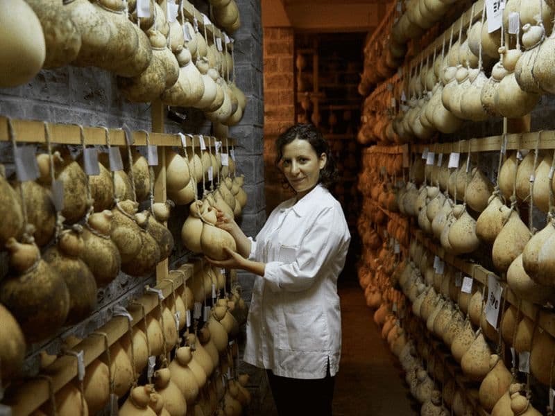 Billet Visite d'une fromagerie traditionnelle avec dégustation près d'Isernia