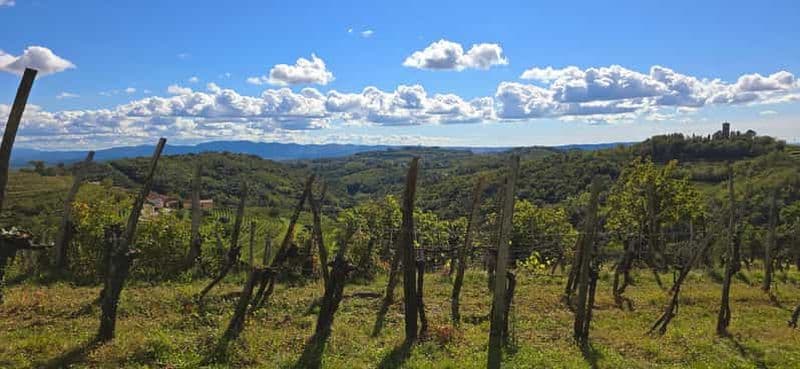 Billet Goriška Brda : Promenade et dégustation de vins