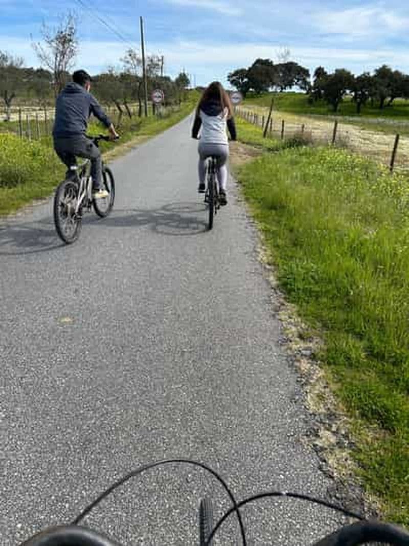 Billet Alentejo : circuit à vélo dans le Montado avec guide et transfert