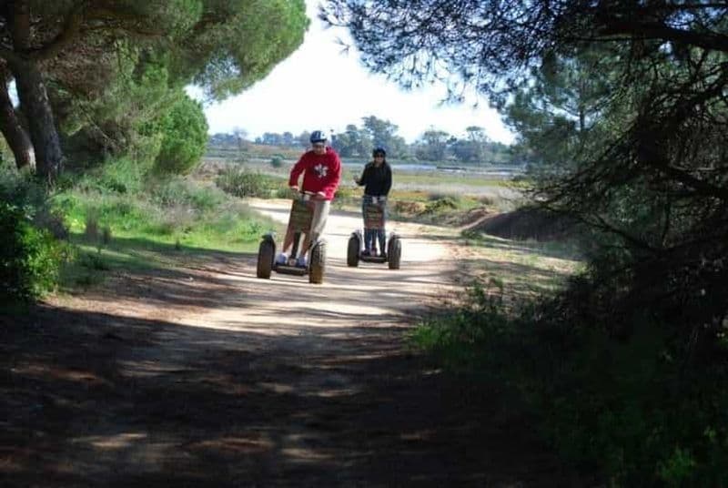 Billet Faro : Visite en Segway du parc naturel de Ria Formosa et observation des oiseaux