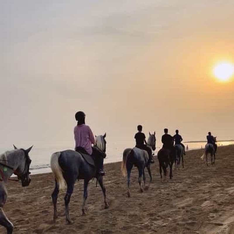 Billet Équitation sur la plage de Mascate