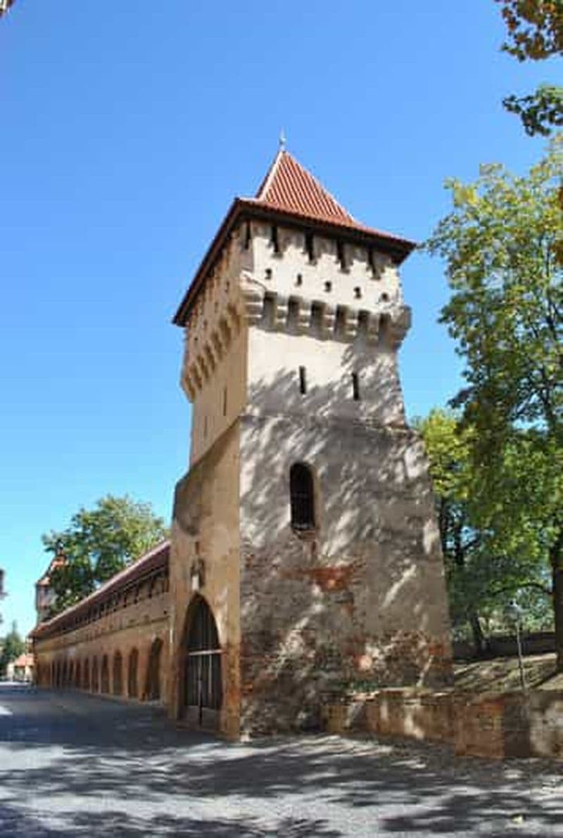 Billet Depuis Bucarest : visite de 2 jours sur les routes de Transfăgărășan et de Transalpina