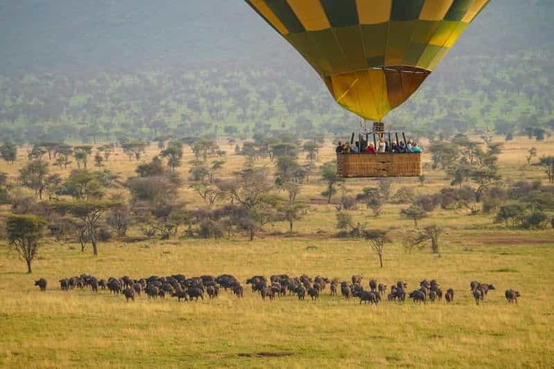 Billet Depuis Zanzibar : safari privé de 3 jours en montgolfière au Serengeti